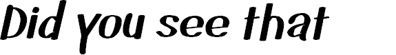 Preview image for Did you see that