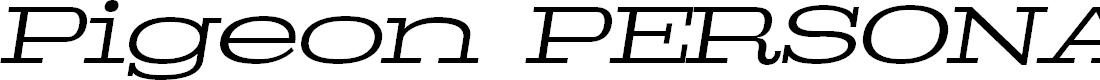 Preview image for Pigeon PERSONAL Light Italic