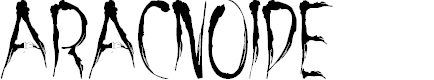 Preview image for aracnoide