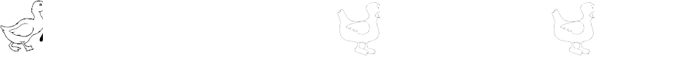 Preview image for AEZ ducks