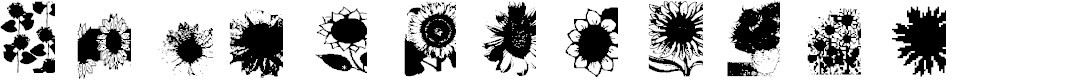 Preview image for AEZsunflowers