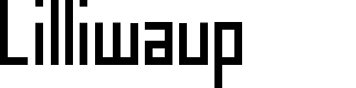 Preview image for JI Lilliwaup