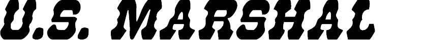 Preview image for U.S. Marshal Condensed Italic