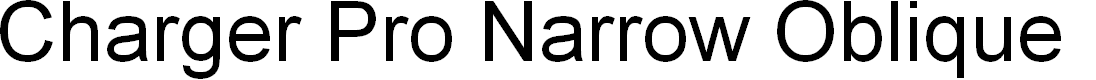 Preview image for Charger Pro Narrow Oblique