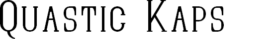 Preview image for Quastic Kaps Thin