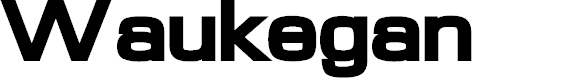 Preview image for Waukegan LDO Extended Black