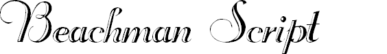 Preview image for Beachman Script