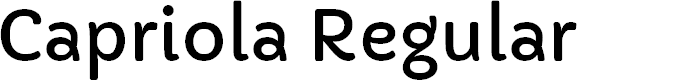 Preview image for Capriola Regular