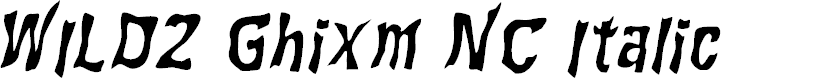 Preview image for WILD2 Ghixm NC Italic