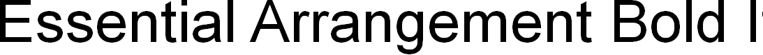 Preview image for Essential Arrangement Bold Italic
