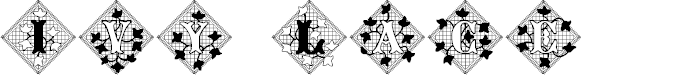 Preview image for JFIvyLaceAlt