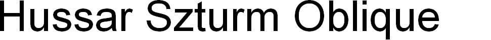 Preview image for Hussar Szturm Oblique