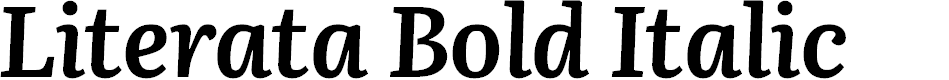 Preview image for Literata Bold Italic