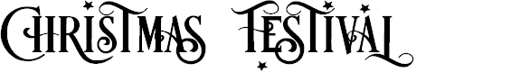 Preview image for Festival