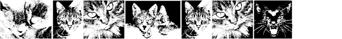 Preview image for CatBats