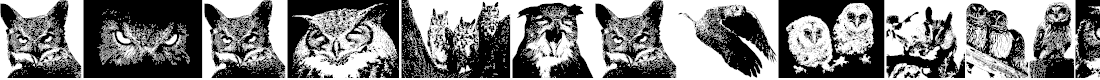 Preview image for AParliamentofOwls