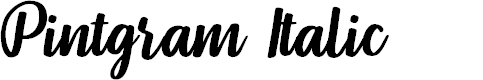 Preview image for Pintgram Italic