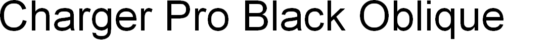 Preview image for Charger Pro Black Oblique