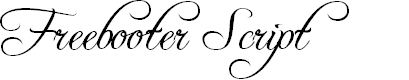 Preview image for Freebooter Script