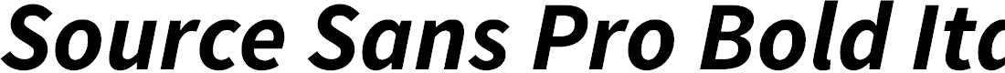 Preview image for Source Sans Pro Bold Italic
