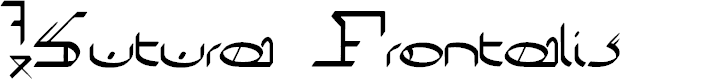 Preview image for !Sutura Frontalis Bold