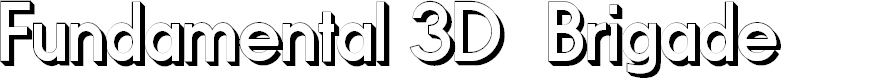 Preview image for Fundamental 3D Brigade
