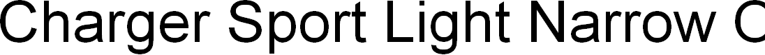 Preview image for Charger Sport Light Narrow Oblique