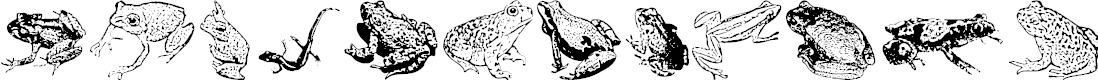 Preview image for AmphibiPrint