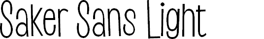 Preview image for Saker Sans Light PERSONAL USE