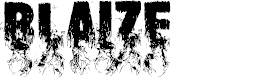 Preview image for Blaize
