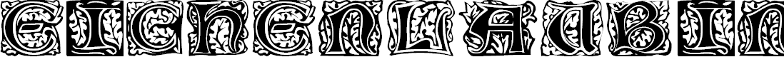 Preview image for Eichenlaub Initialen