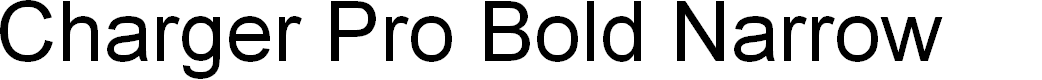Preview image for Charger Pro Bold Narrow