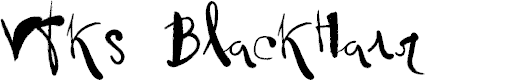 Preview image for Vtks BlackHair