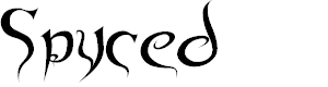 Preview image for Spyced