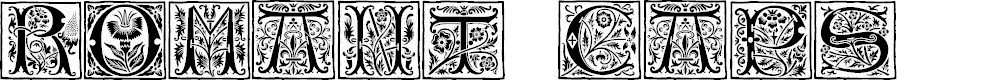 Preview image for Romant