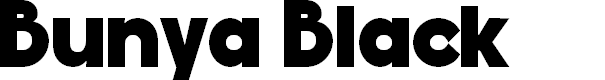 Preview image for Bunya PERSONAL Black