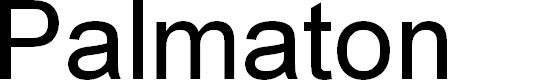 Preview image for Palmaton