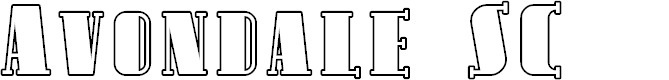 Preview image for Avondale SC Outline