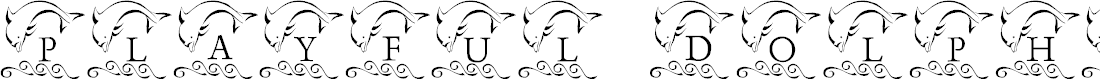 Preview image for LCR Playful Dolphin