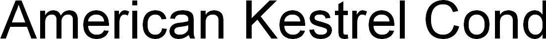 Preview image for American Kestrel Condensed