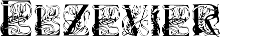 Preview image for Elzevier Regular