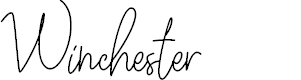 Preview image for Winchester