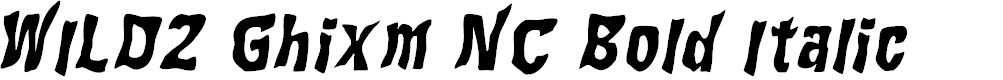 Preview image for WILD2 Ghixm NC Bold Italic