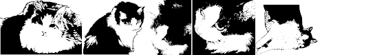 Preview image for Addie