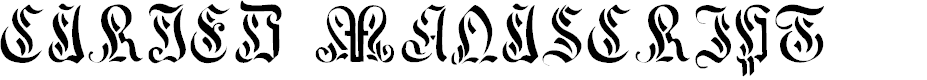 Preview image for Curved Manuscript, 17th c.
