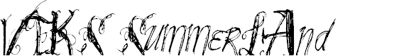 Preview image for VTKS SummerLAnd