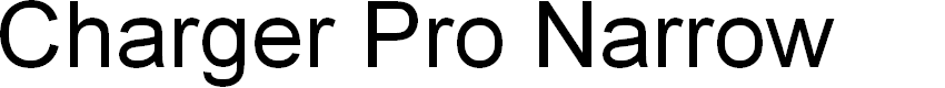 Preview image for Charger Pro Narrow