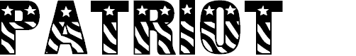 Preview image for Patriot