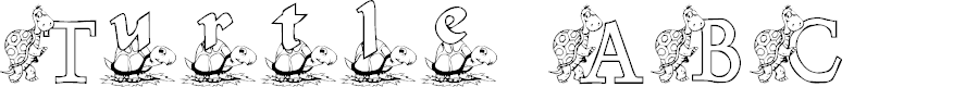 Preview image for KG TURTLE