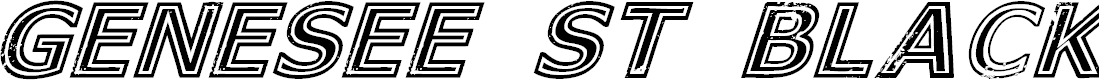 Preview image for Genesee St Black Italic
